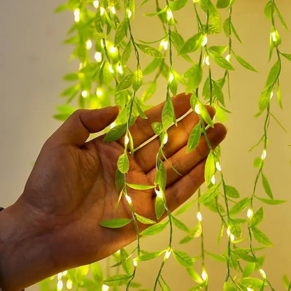 Desidiya 8 Modes Curtain Lights 300 LEDs 10 Fairy Light 3Mtr Each Indoor/Outdoor Decoration for Diwali, Christmas, Wedding, Ramzan, Party, Home, Patio Lawn with Remote & USB Power Supply (White)